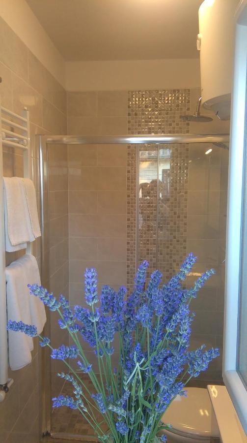 Apartman Bokula ノヴィ・ヴィノドロスキー 部屋 写真